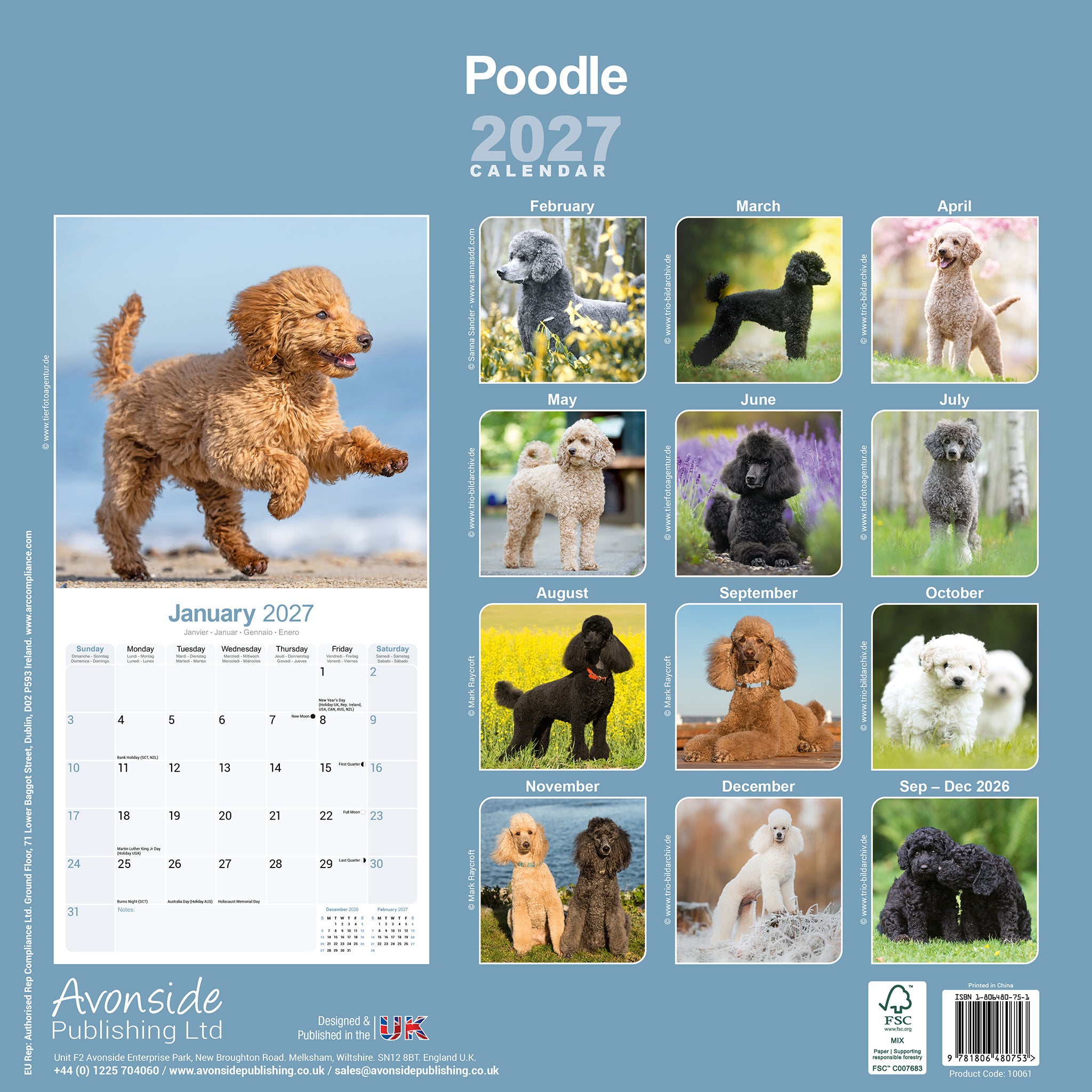 otter-house-poodle-wall-calendar-2027-wandkalender-pudel image 2