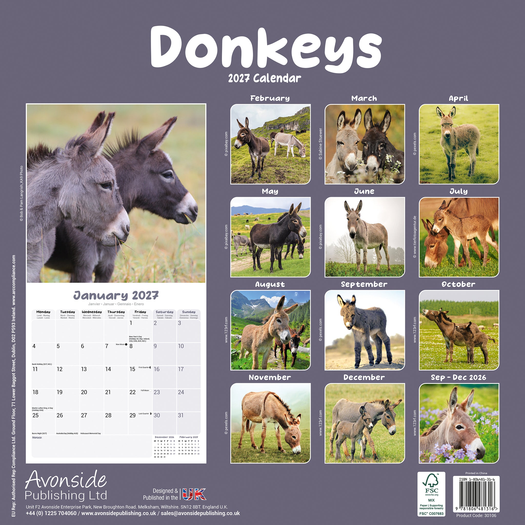 otter-house-donkeys-wandkalender-2027-esel image 2