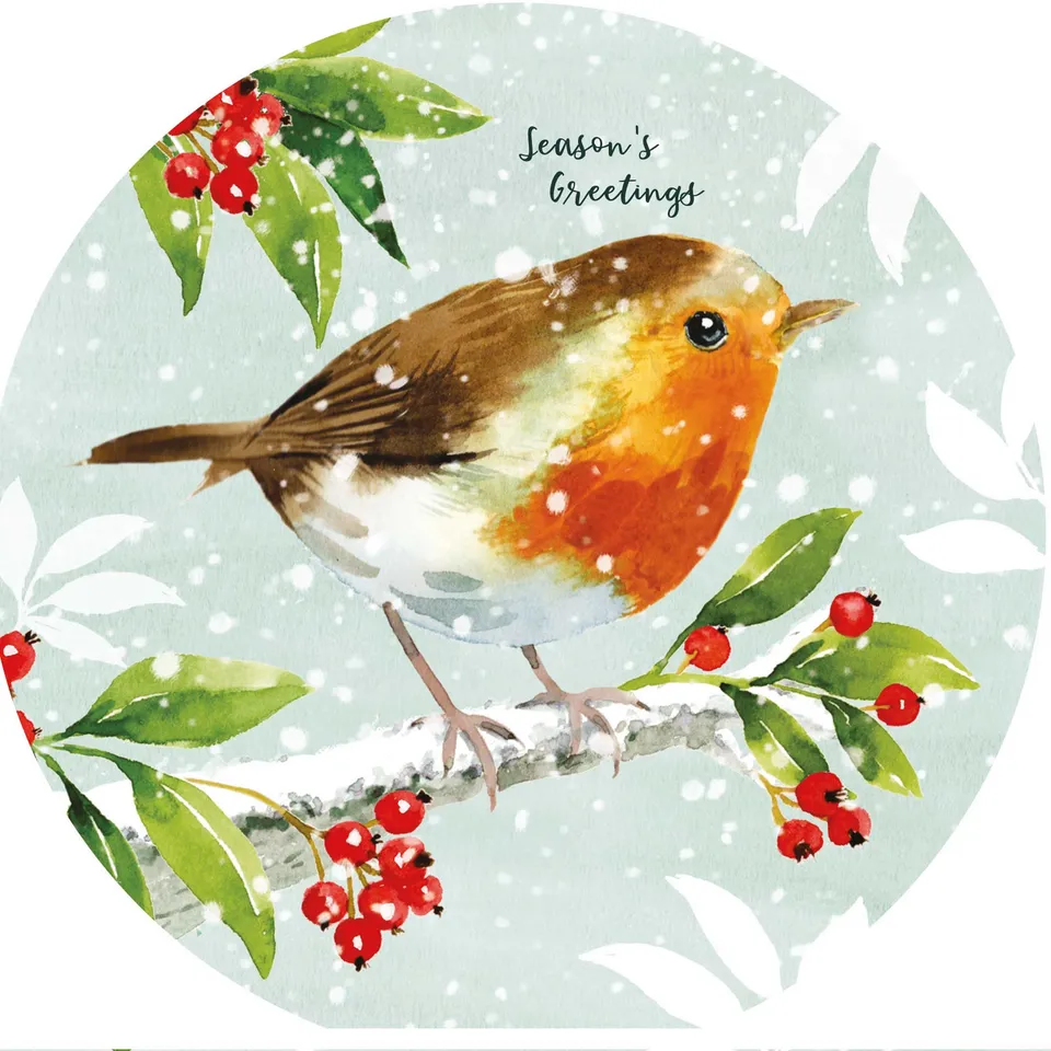 otter-house-robin-redbreast-weihnachtskarten-10-st-ck image 1