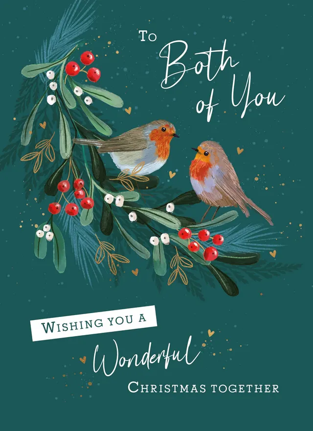 otter-house-christmas-weihnachtskarte-robins-on-foliage image 1
