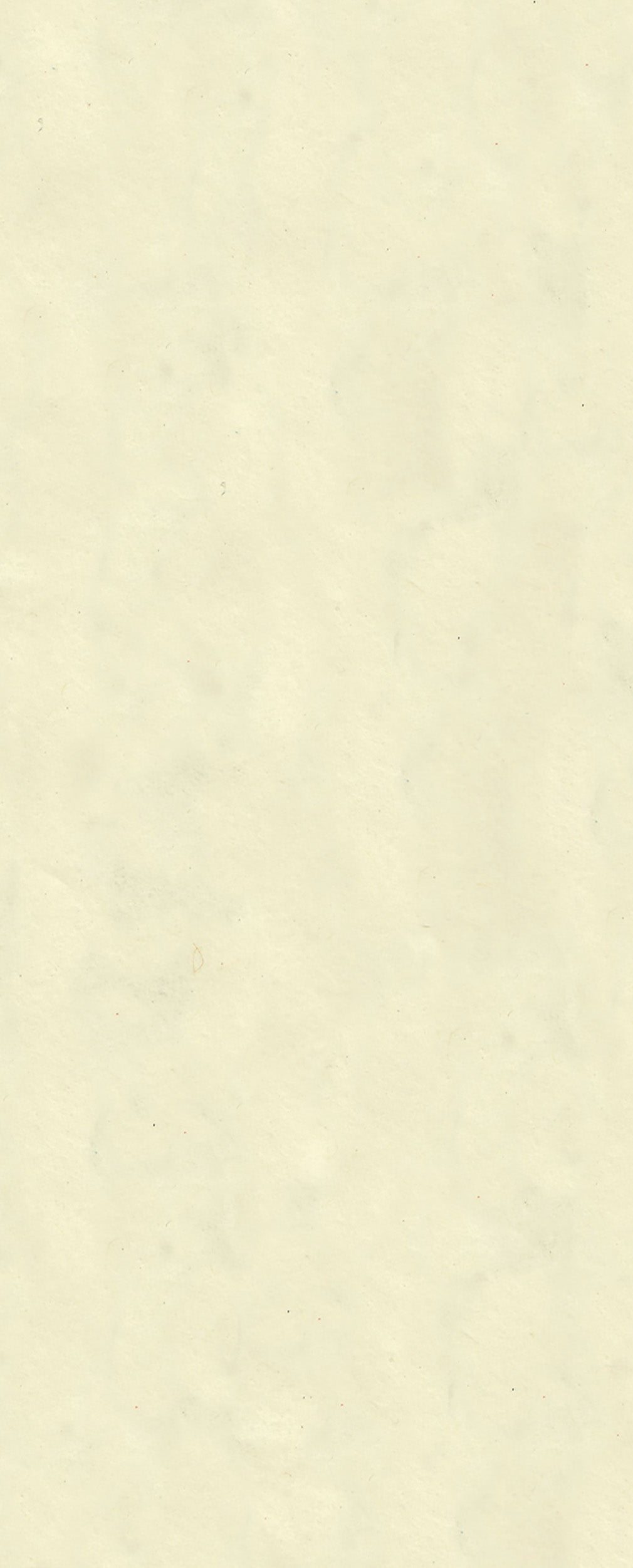 otter-house-tissue-pack-seidenpapier-creme-5-b-gen image 1
