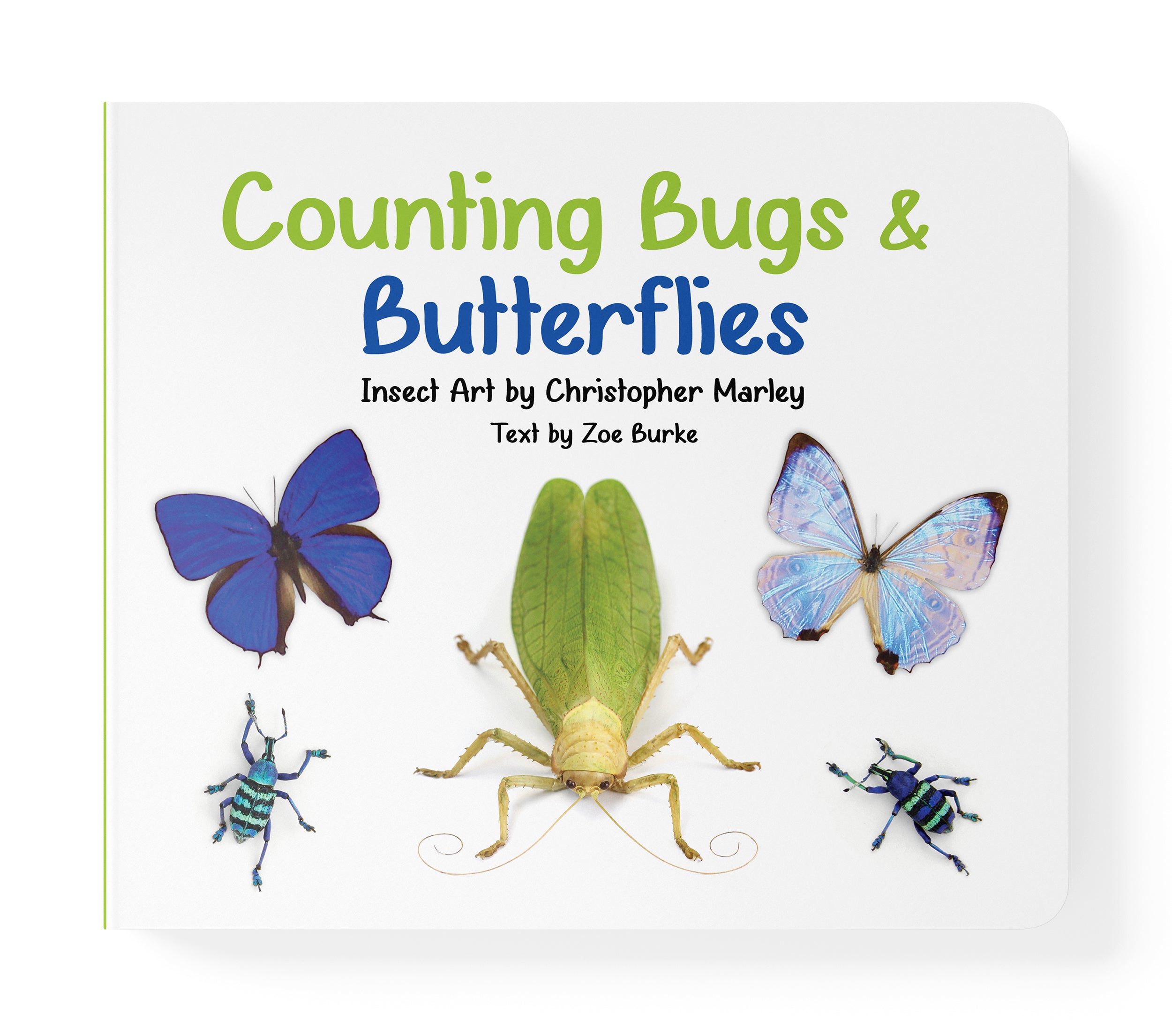 pomegranate-counting-bugs-butterflies-pappbilderbuch-insekten image 2
