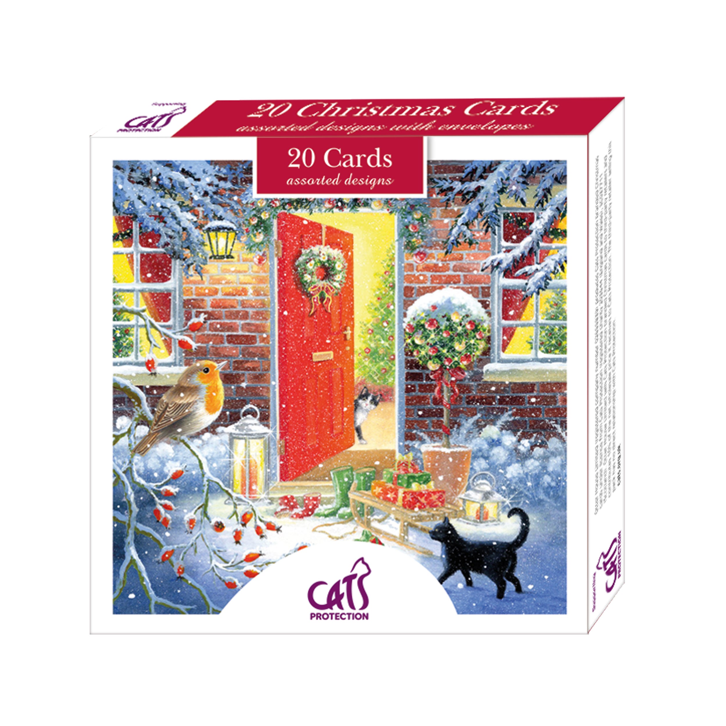 otter-house-cats-protection-weihnachtskarten-set-sortiert image 1