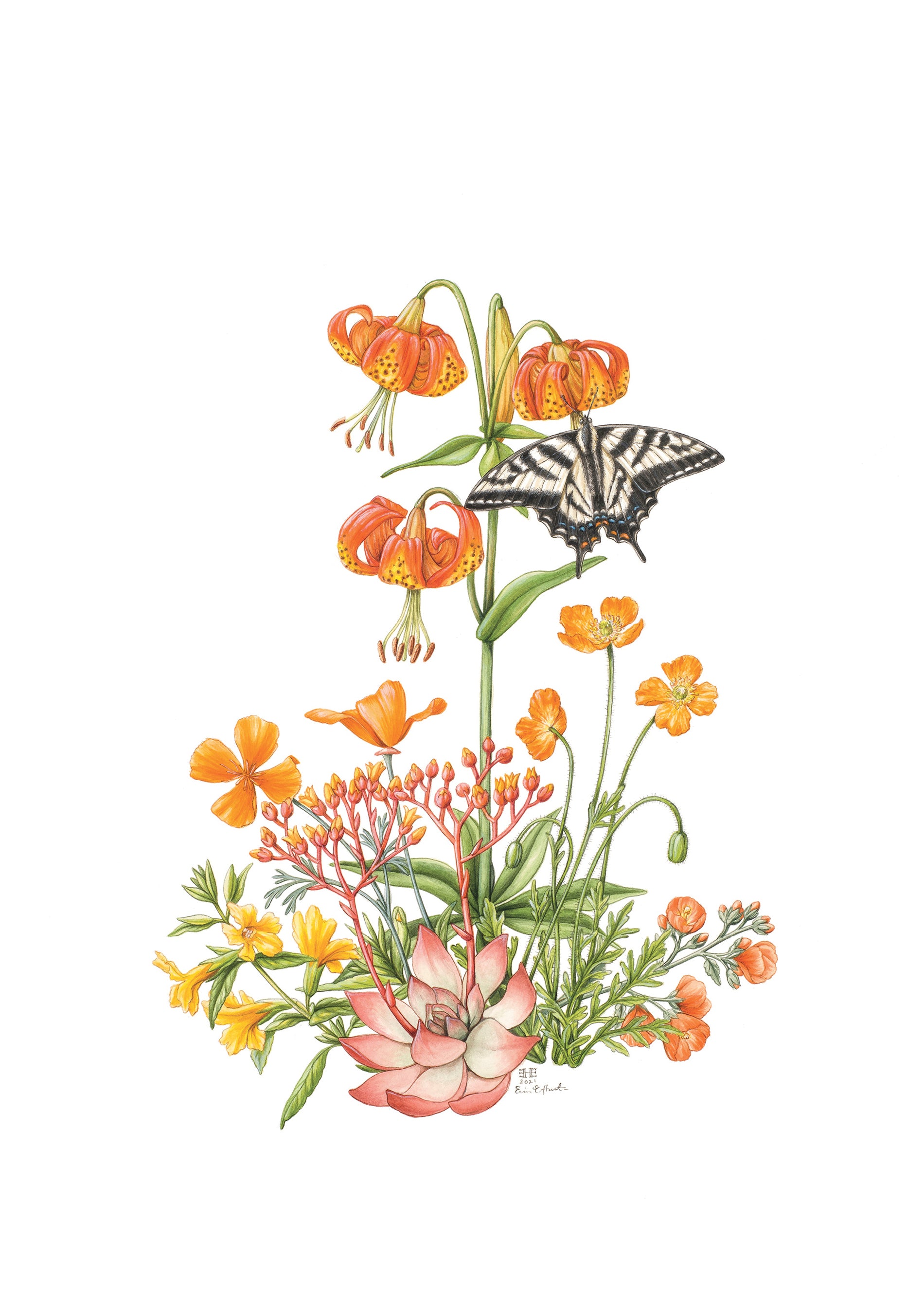 pomegranate-wildflowers-in-orange-geburtstagskarte-hunter image 1