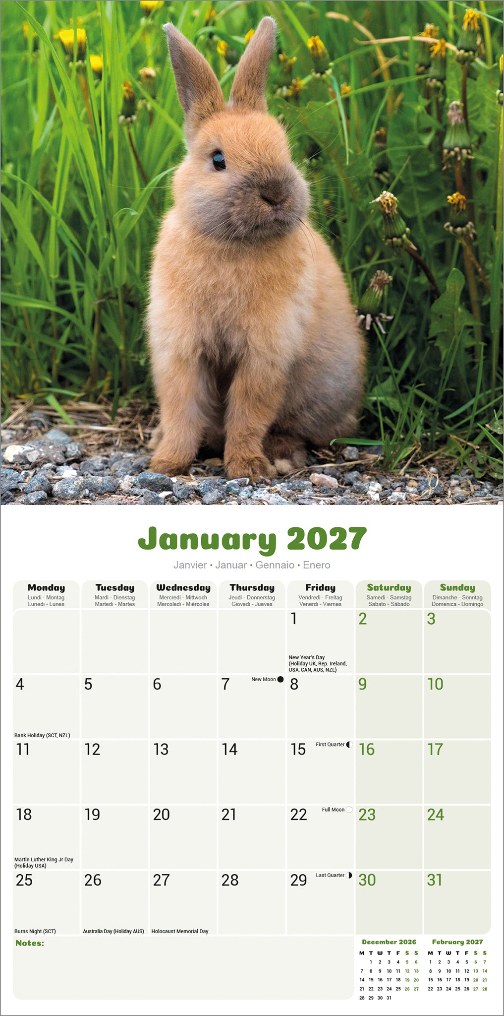 otter-house-rabbits-wandkalender-2027-hasen-tierkalender image 3