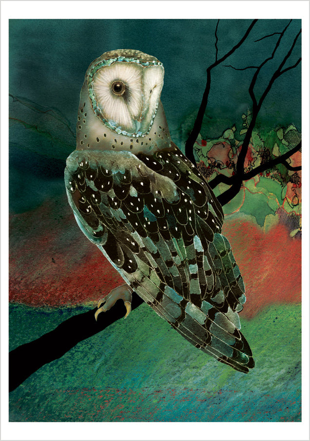 pomegranate-boxed-barn-owls-chappell-kartenbox-20-eulen image 3