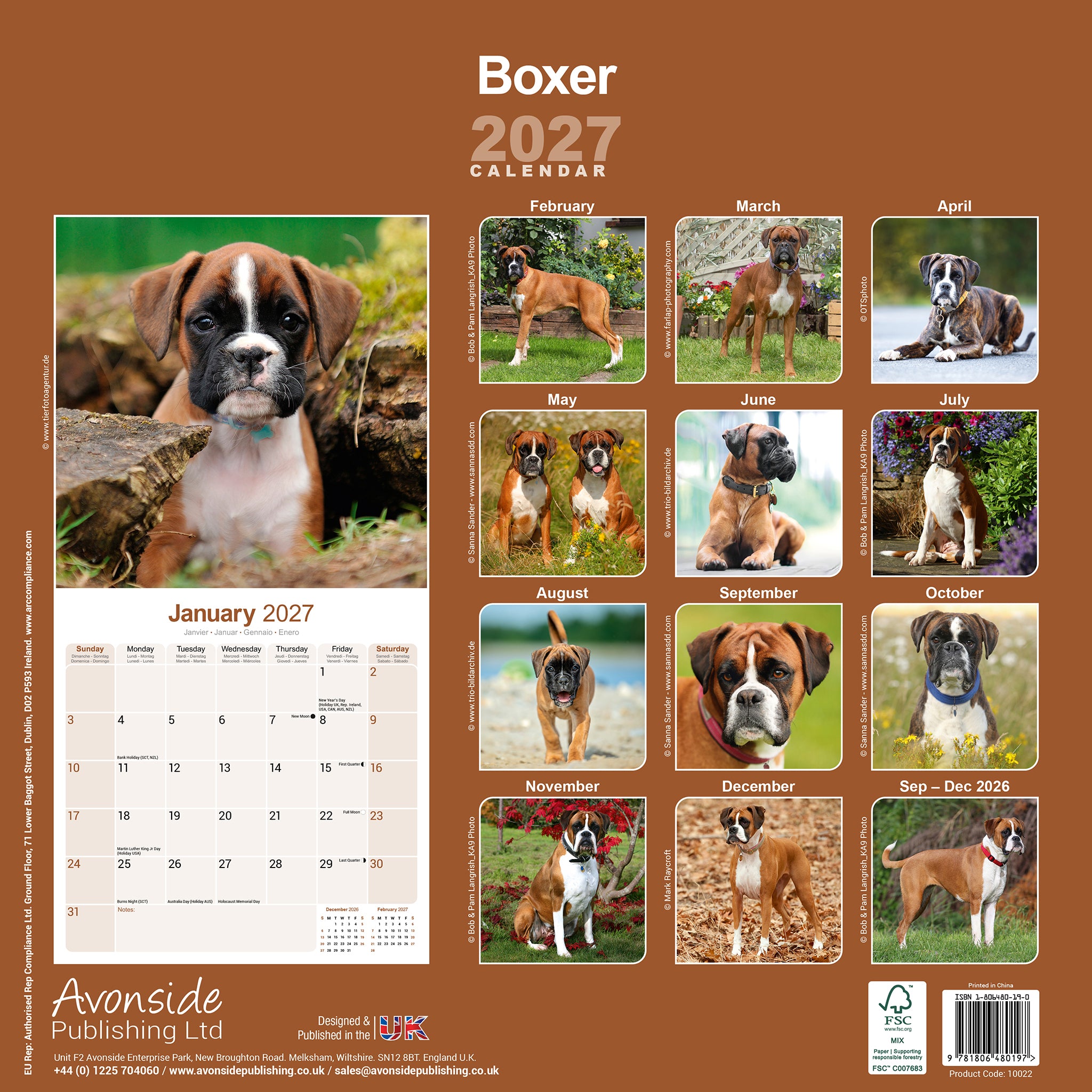 otter-house-boxer-wandkalender-2027-hundekalender image 2