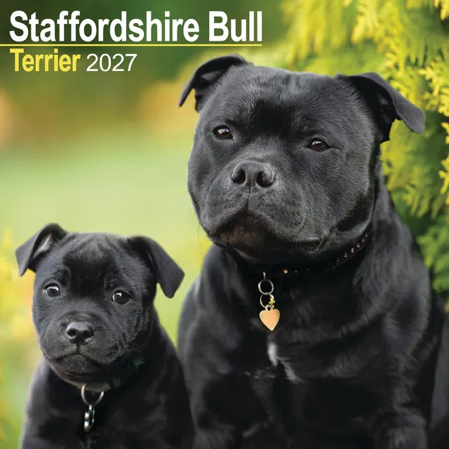 otter-house-staffordshire-bull-terrier-wandkalender-2027-2 image 1