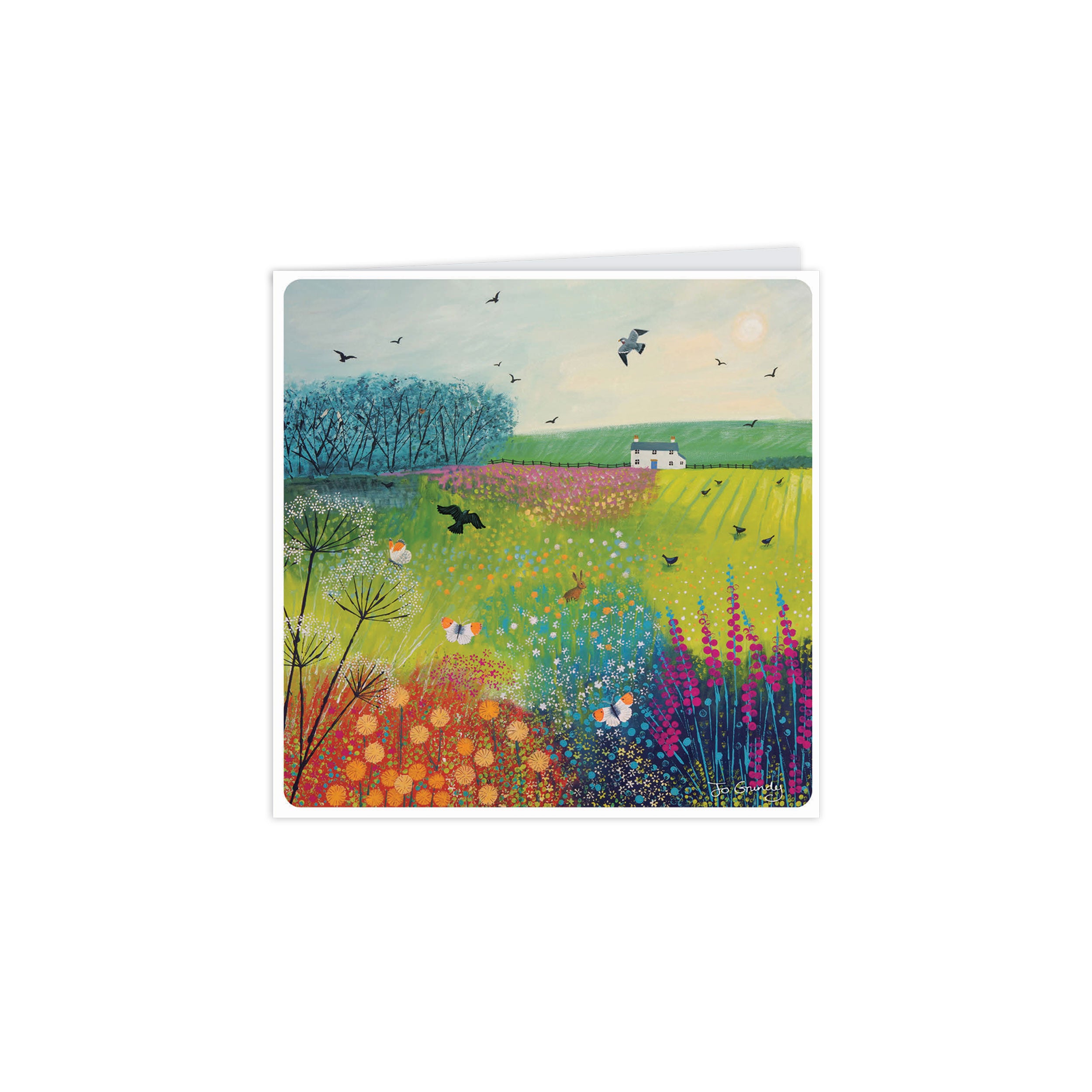 otter-house-jo-grundy-notecards-10-karten-schmetterling image 2