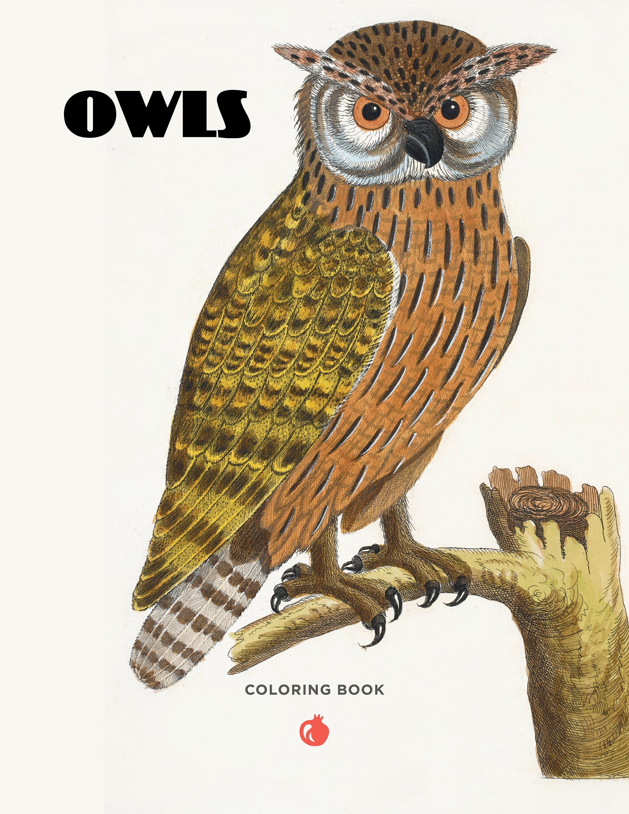 pomegranate-owls-malbuch-eulen-ausmalbuch-v-gel image 2