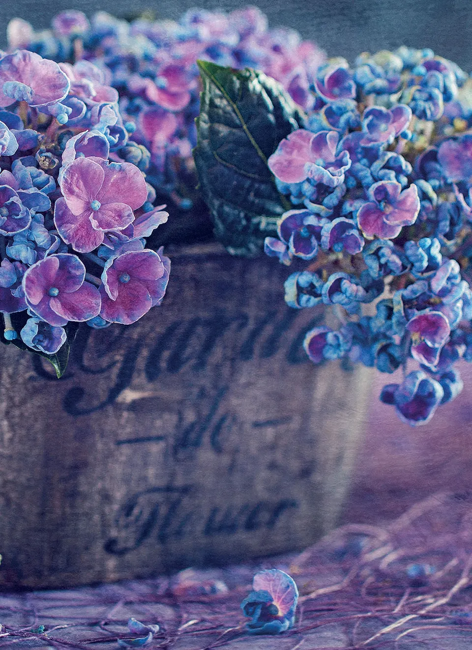 otter-house-beautiful-blanks-hydrangea-pot-blankokarte-hortensie image 1
