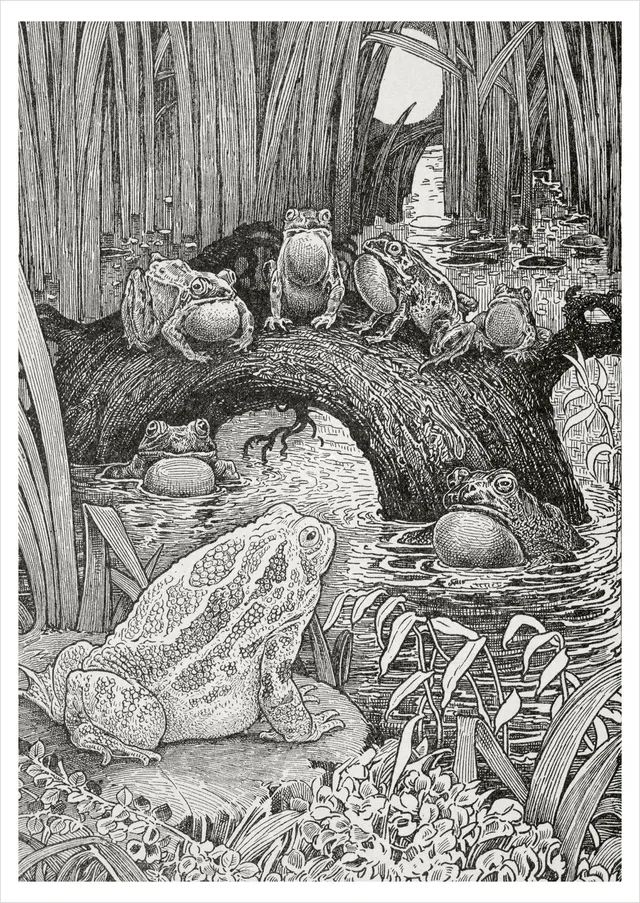 pomegranate-louis-rhead-family-concert-postkarte-tiere image 1