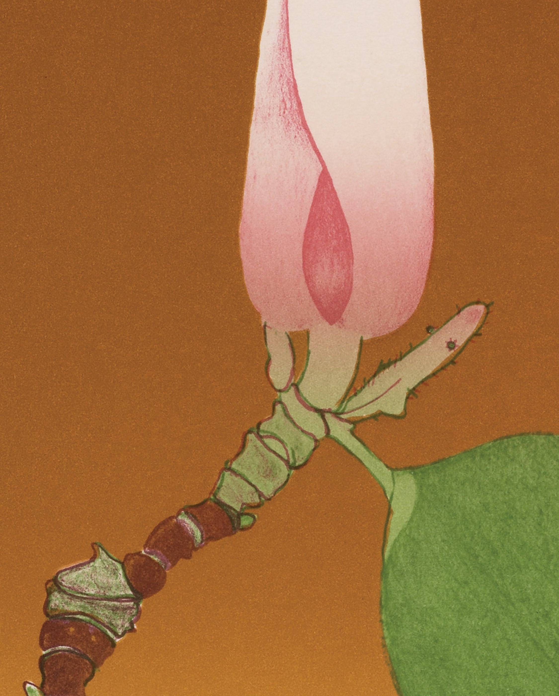pomegranate-magnolia-bud-lesezeichen-beth-van-hoesen-kunst image 2
