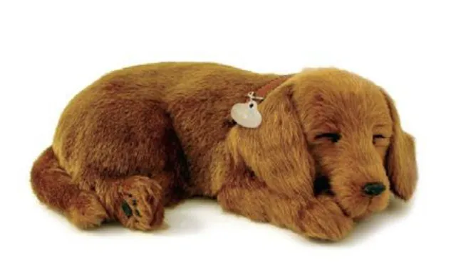 otter-house-precious-petzzz-dackel-pl-schhund-mit-bett-batterie image 1