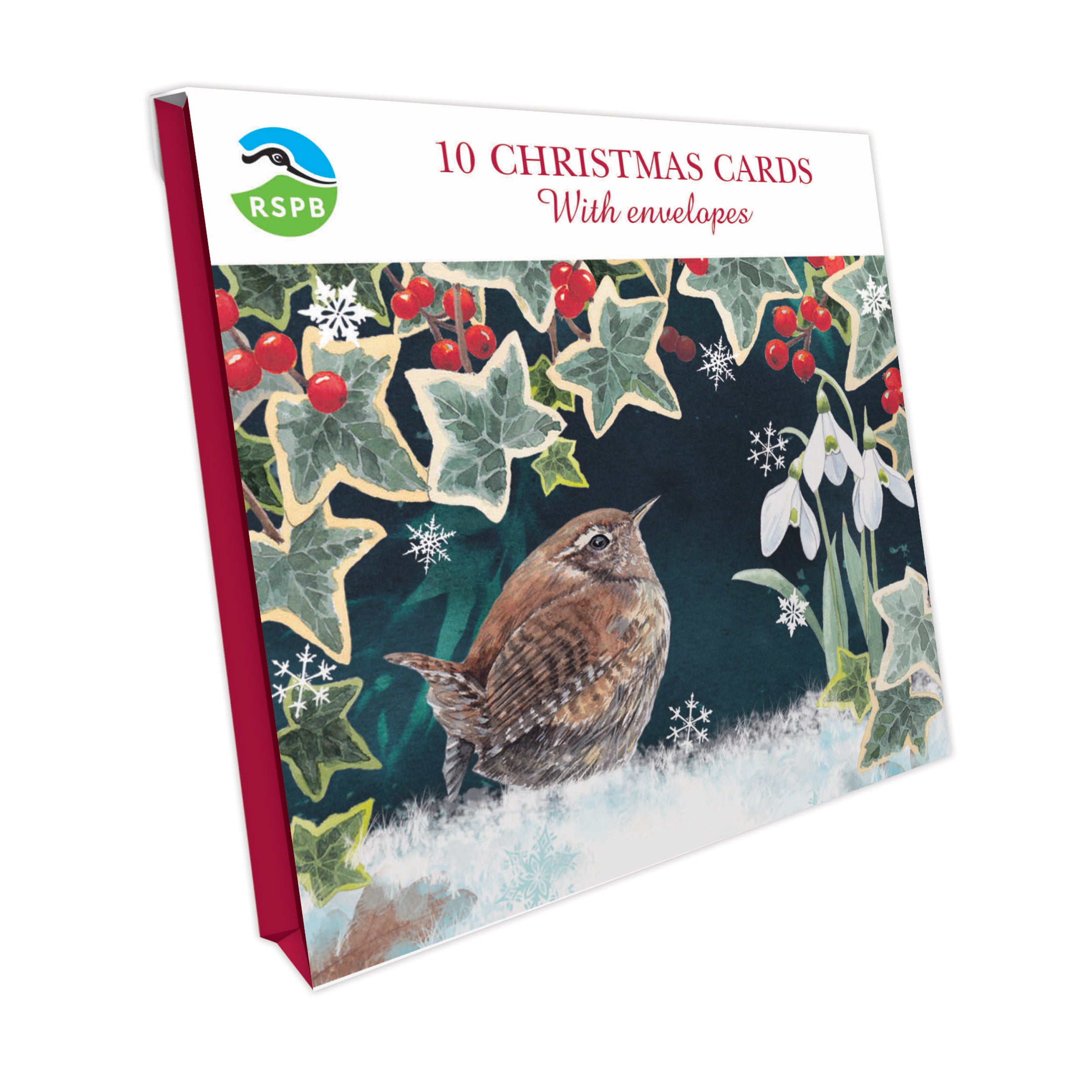 otter-house-wren-ivy-weihnachtskarten-10er-pack-quadratisch image 1
