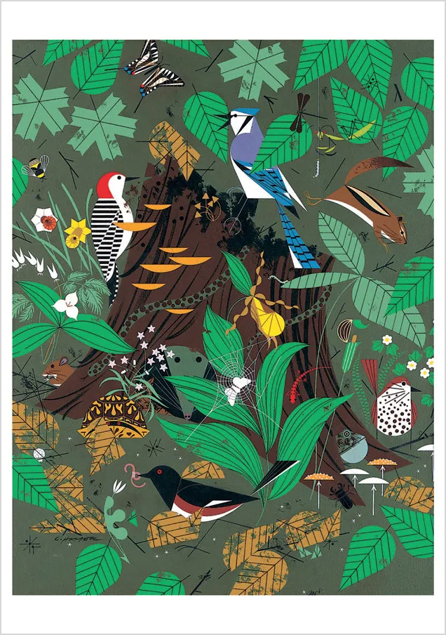 pomegranate-charley-harper-woodland-wonders-tierkarte image 1