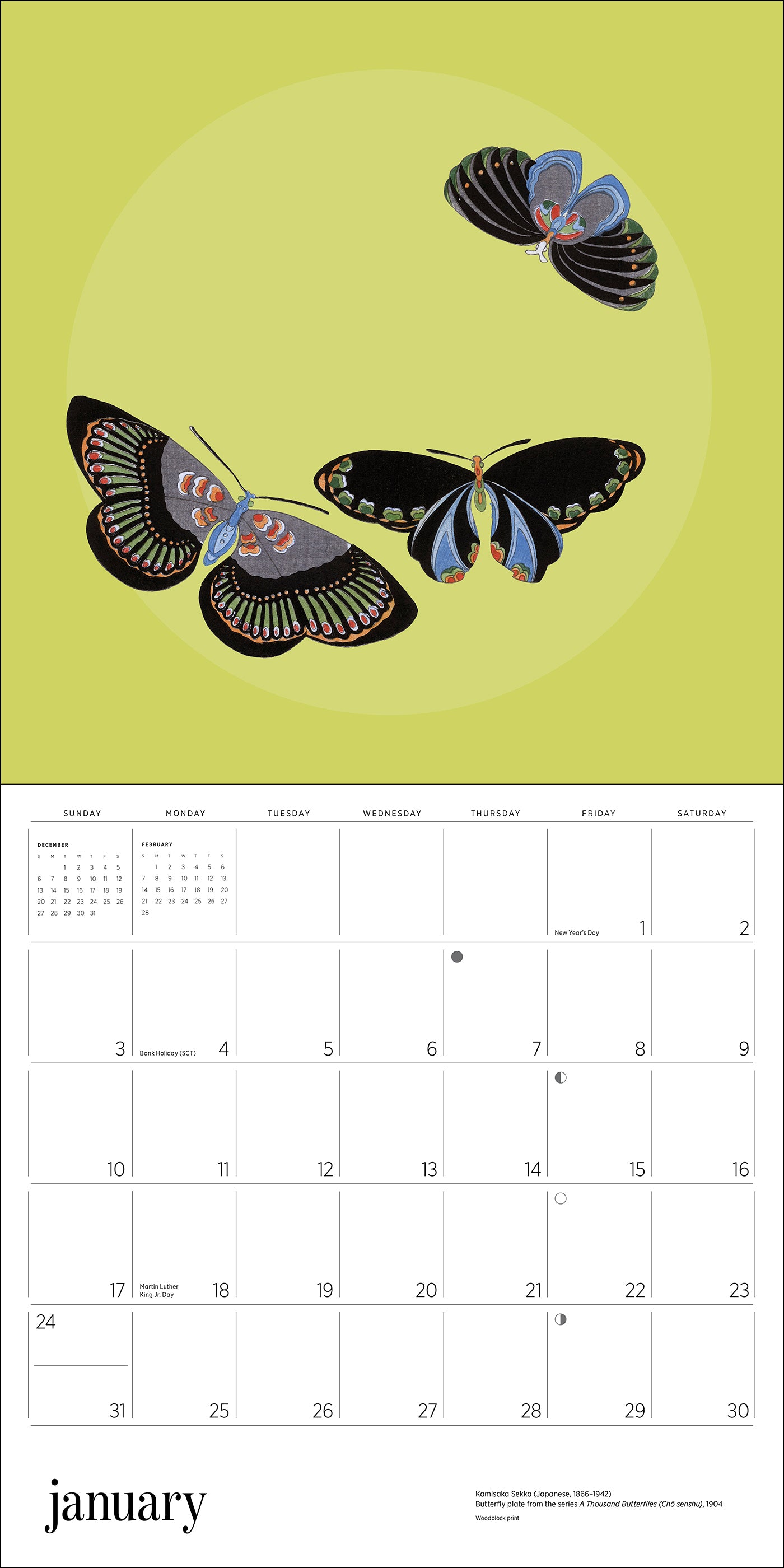 pomegranate-butterflies-2027-wandkalender-schmetterlinge image 3