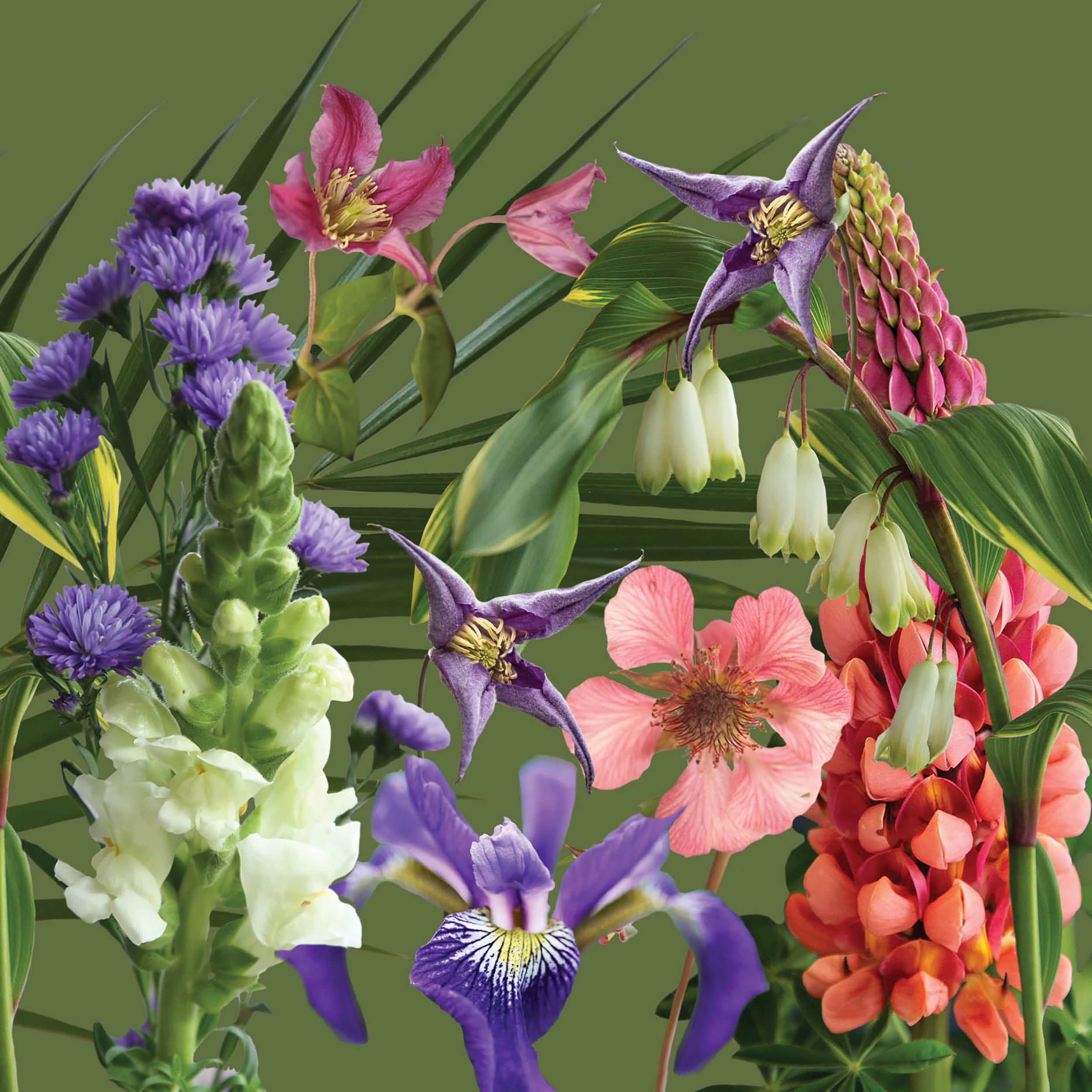otter-house-alex-sharp-floral-gru-karte-blumen image 1