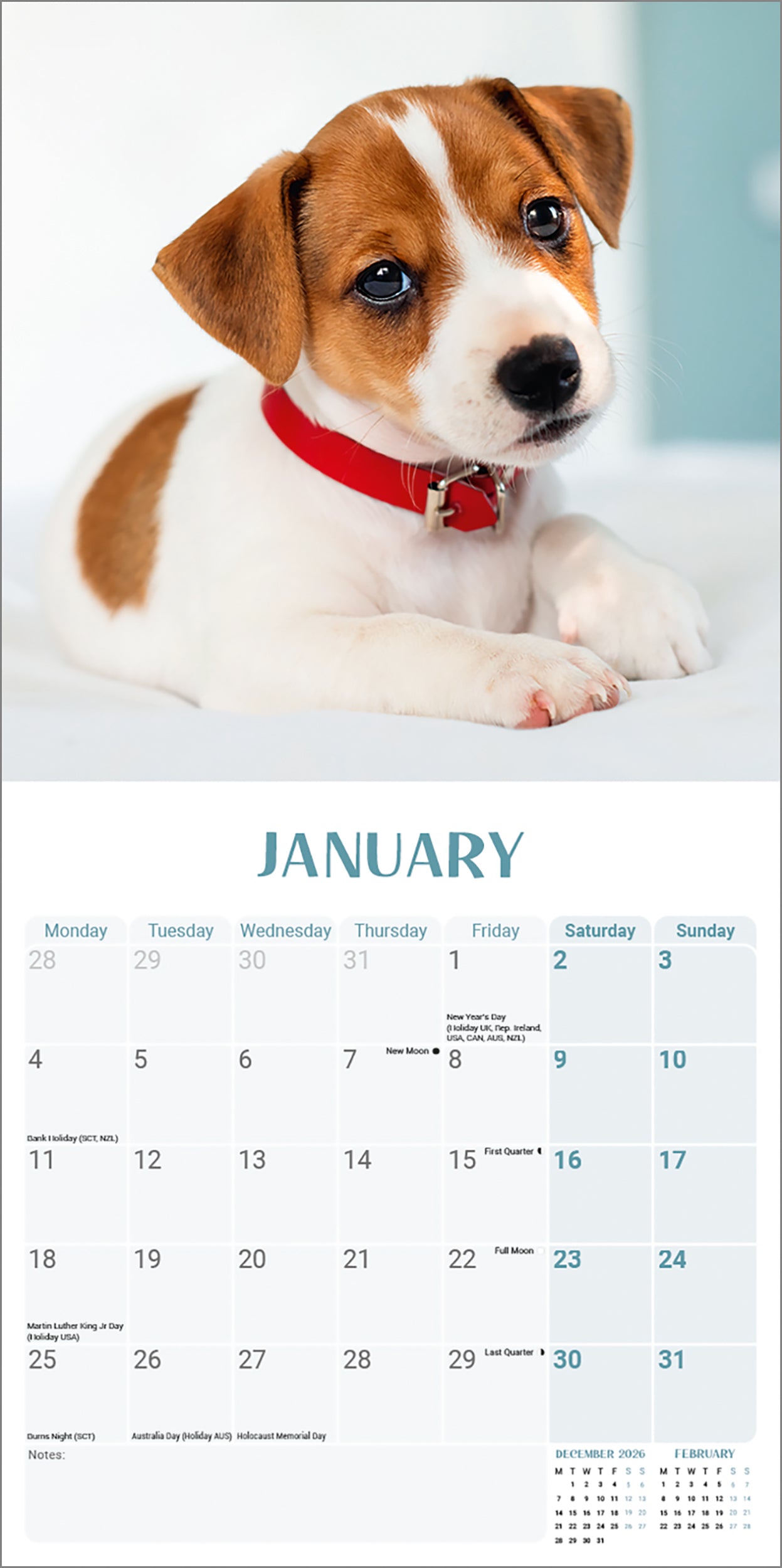 otter-house-jack-russell-puppies-mini-kalender-2027-hunde image 3