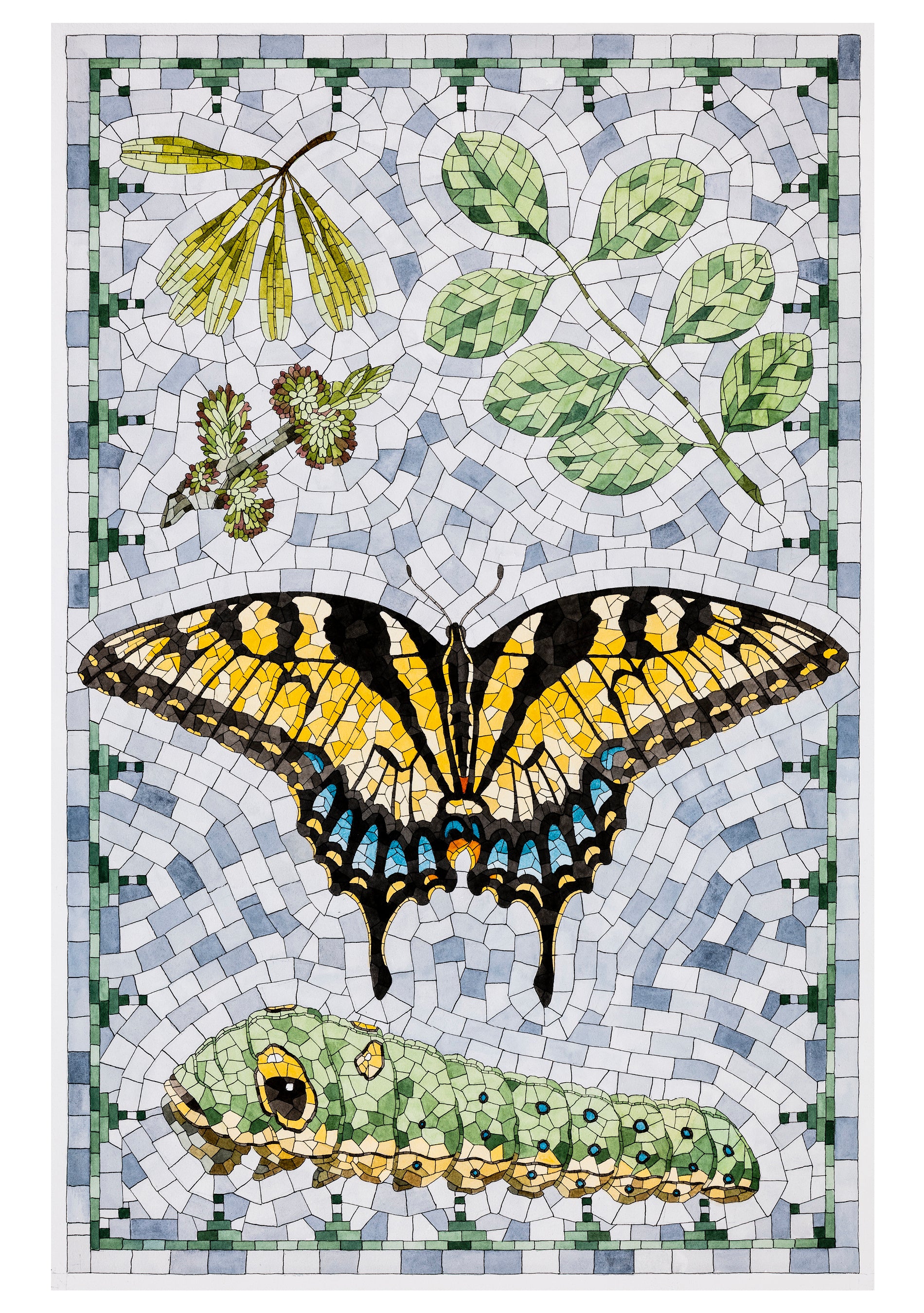 pomegranate-david-cohen-butterflies-karten-set-20-teilig image 2