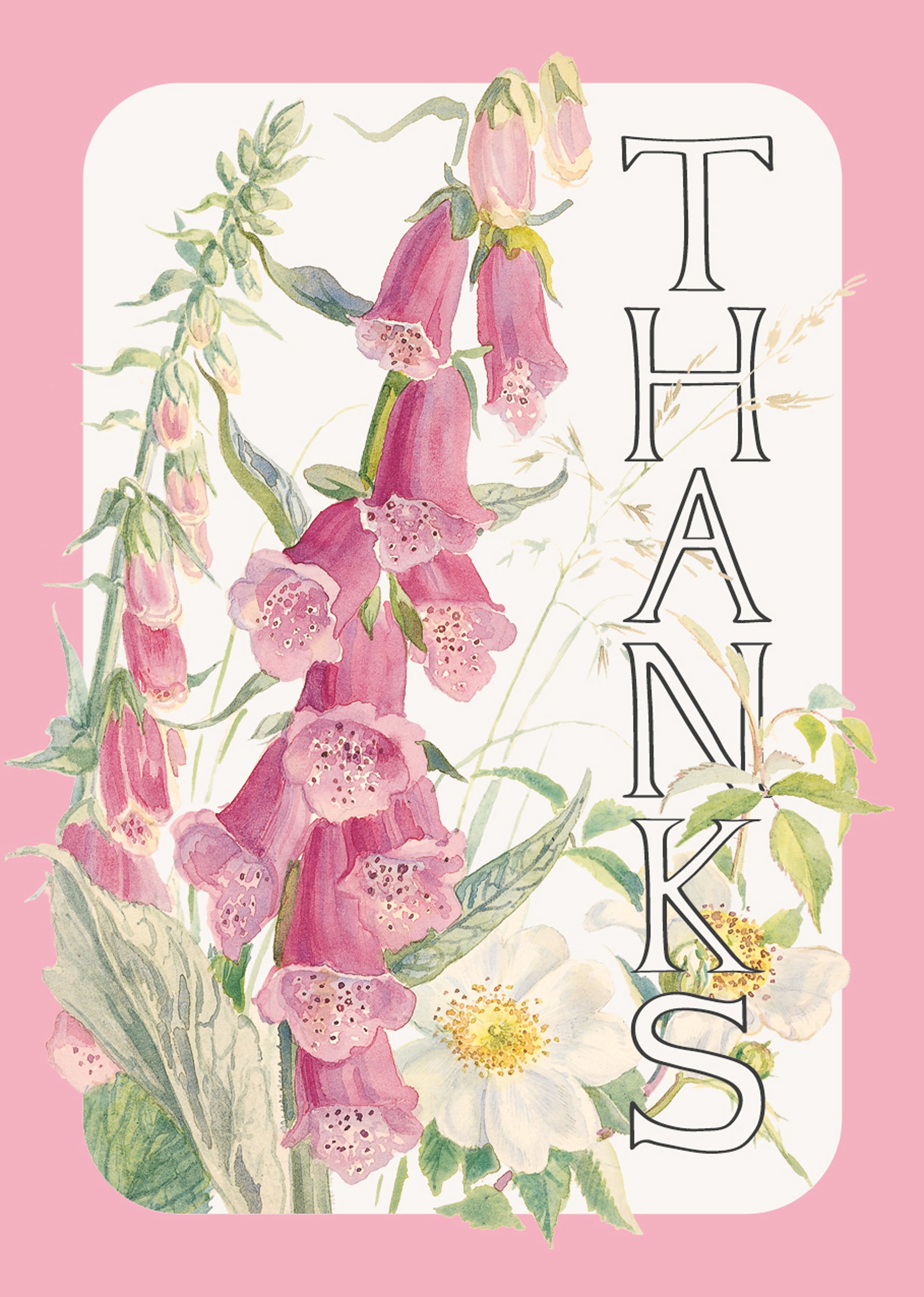 otter-house-edith-holden-foxglove-mini-notecards-6er-pack-floral image 1
