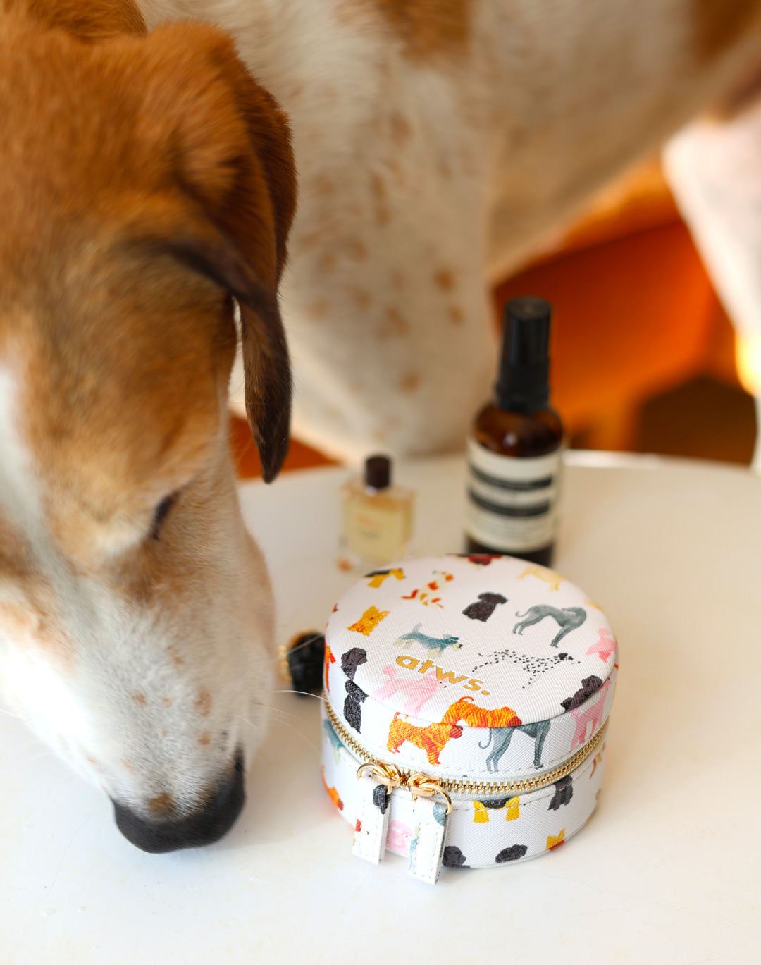 all-the-ways-to-say-dogs-schmuckk-stchen-rund-hundemotiv image 5