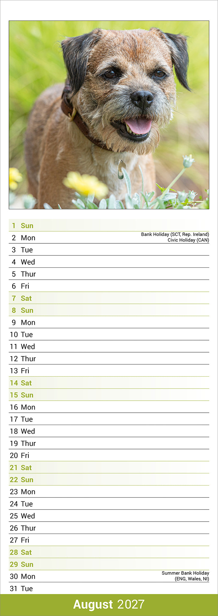 otter-house-border-terrier-slim-kalender-2027-hundemotiv image 3