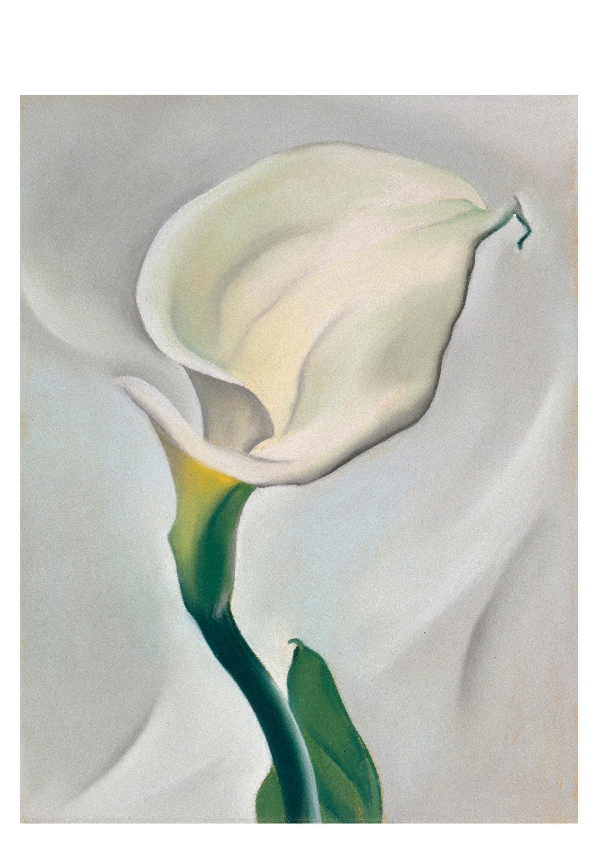 pomegranate-georgia-o-keeffe-postkartenbuch-30-st-ck image 3