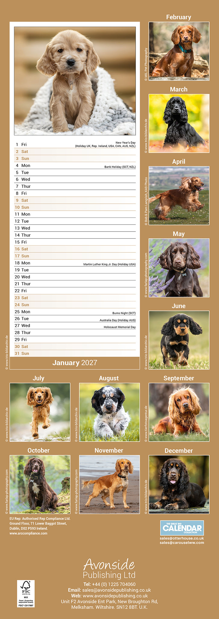 otter-house-english-cocker-spaniel-slim-kalender-2027-hunde image 2