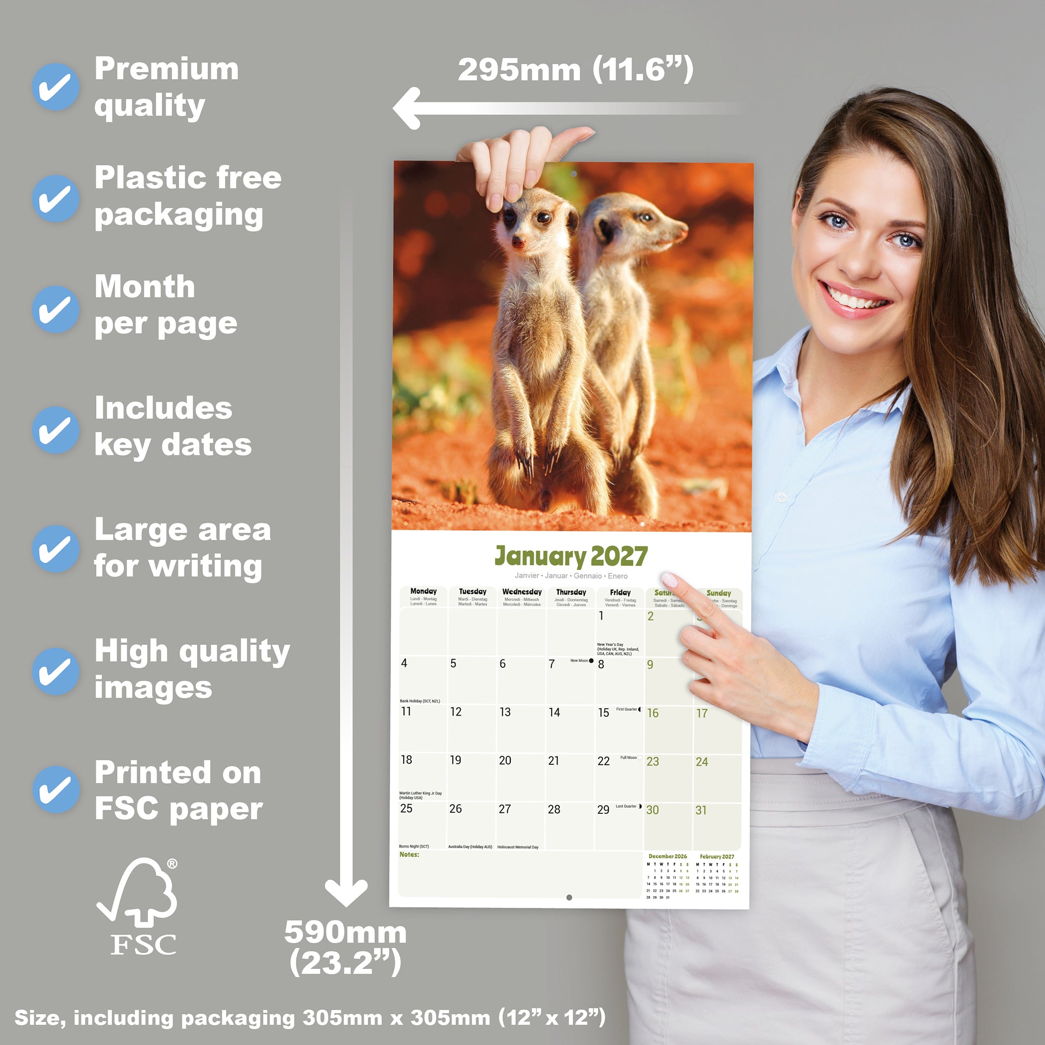 otter-house-meerkats-wandkalender-2027-erdm-nnchen image 4
