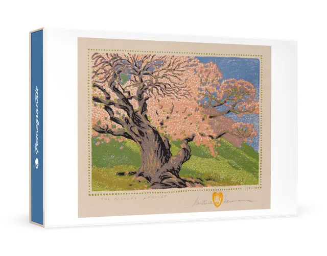 pomegranate-baumann-bishop-s-apricot-kartenset-box-landschaft image 1