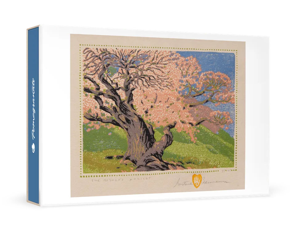 pomegranate-baumann-bishop-s-apricot-kartenset-box-landschaft image 1