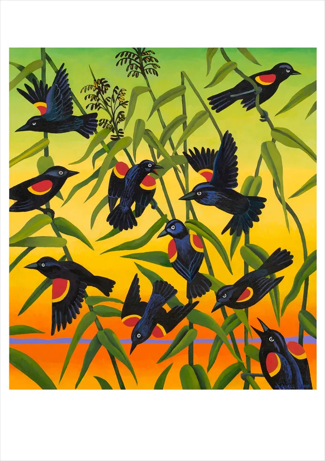 pomegranate-billy-hassell-red-wing-blackbirds-and-wild-rice-karte image 1