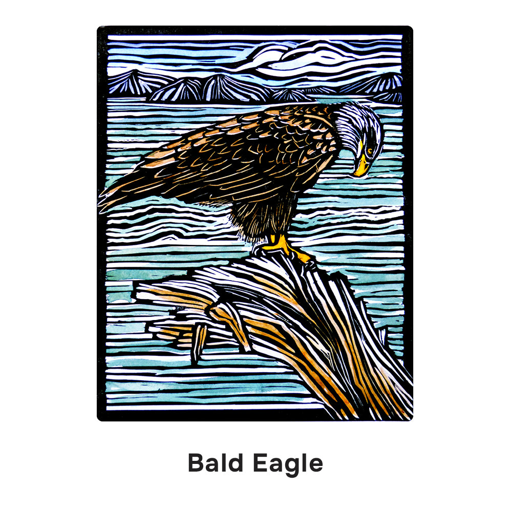 pomegranate-hashimoto-birds-memory-spiel-36-paare image 4