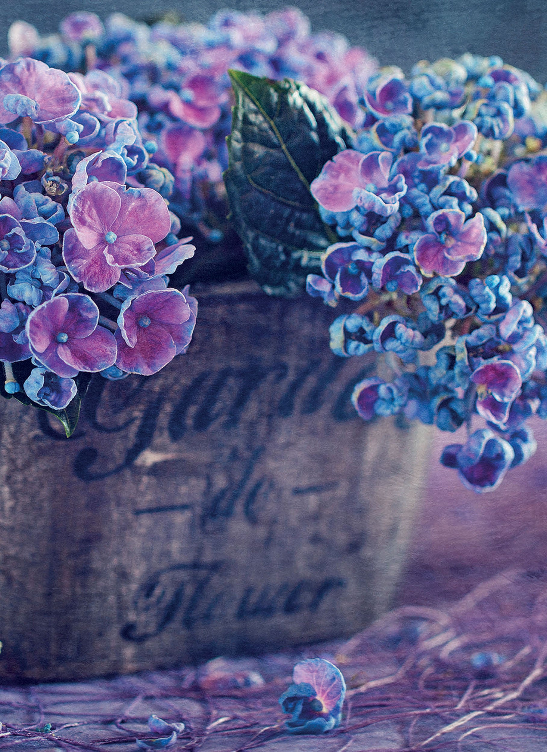 otter-house-beautiful-blanks-hydrangea-pot-blankokarte-hortensie image 1