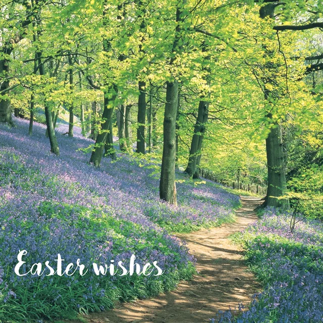 otter-house-osterkarten-bluebell-woods-5er-pack-floral image 1