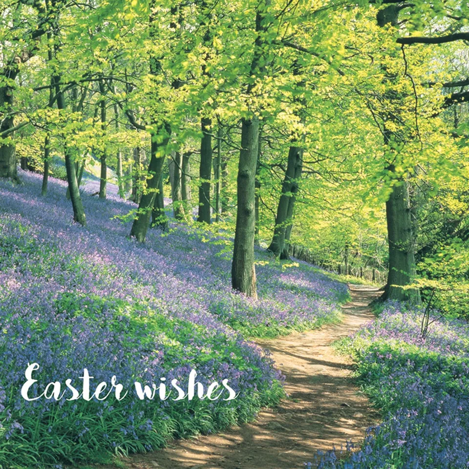 otter-house-osterkarten-bluebell-woods-5er-pack-floral image 1
