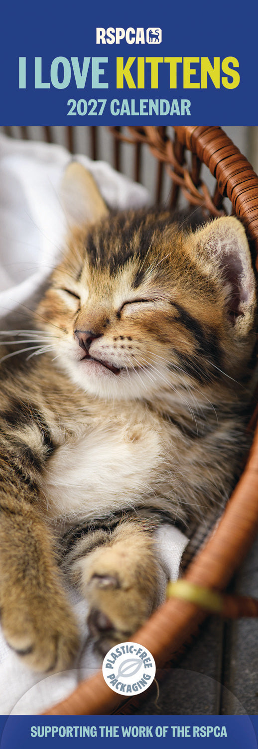 otter-house-kittens-slim-kalender-2027-katzenbabys image 1