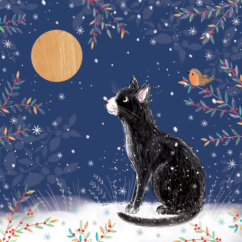 otter-house-charity-weihnachtskarten-set-katze-mondblick image 1