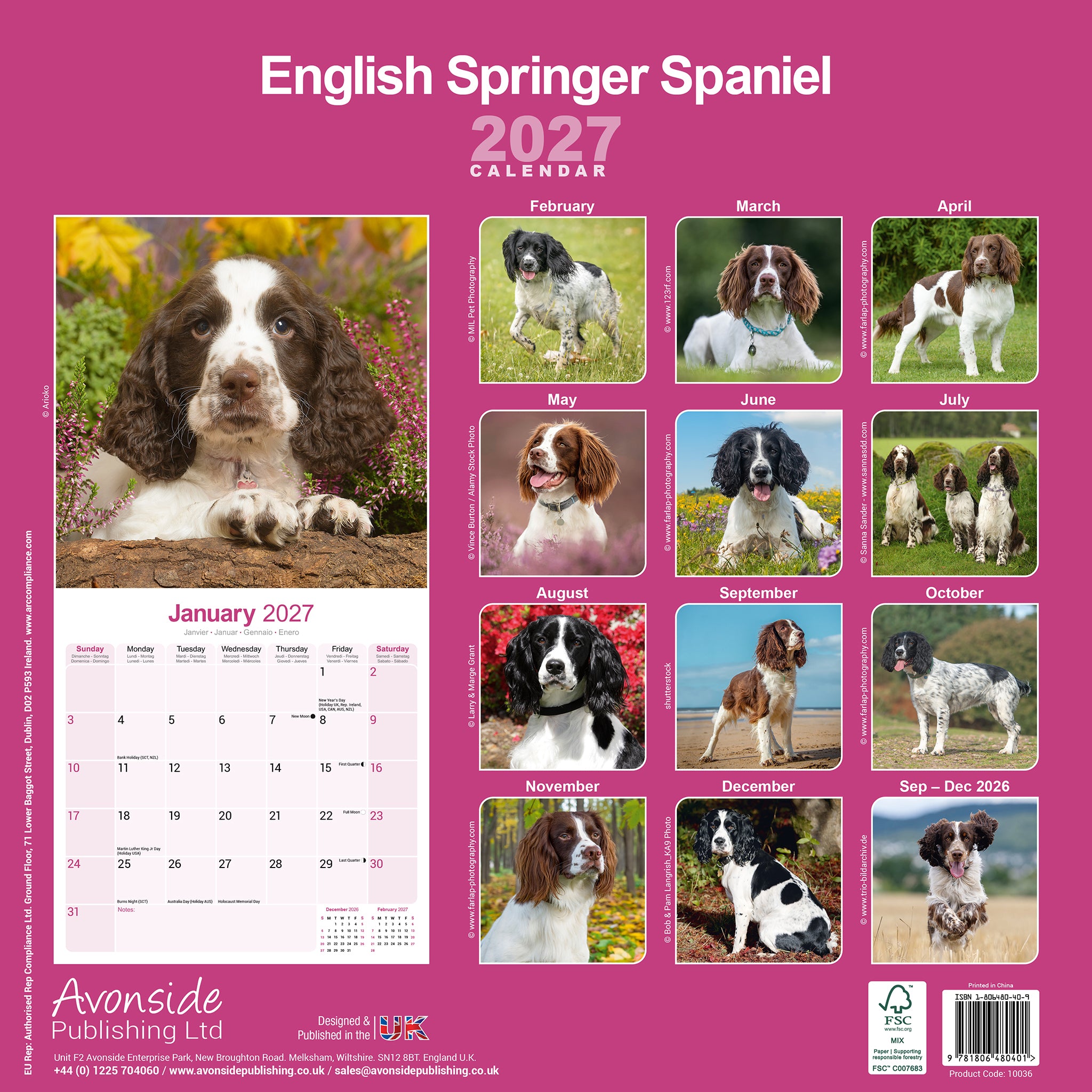 otter-house-english-springer-spaniel-wandkalender-2027 image 2
