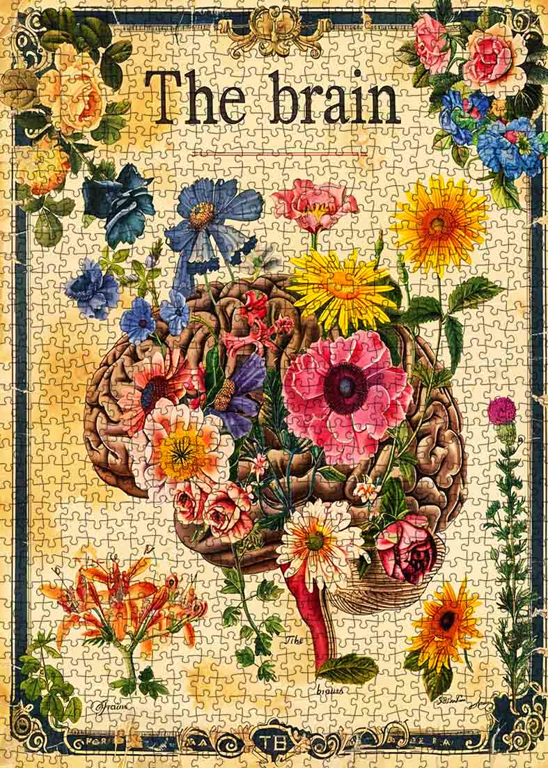 tucocoo-floral-brain-vintage-puzzle-1000-teile-anatomie image 2