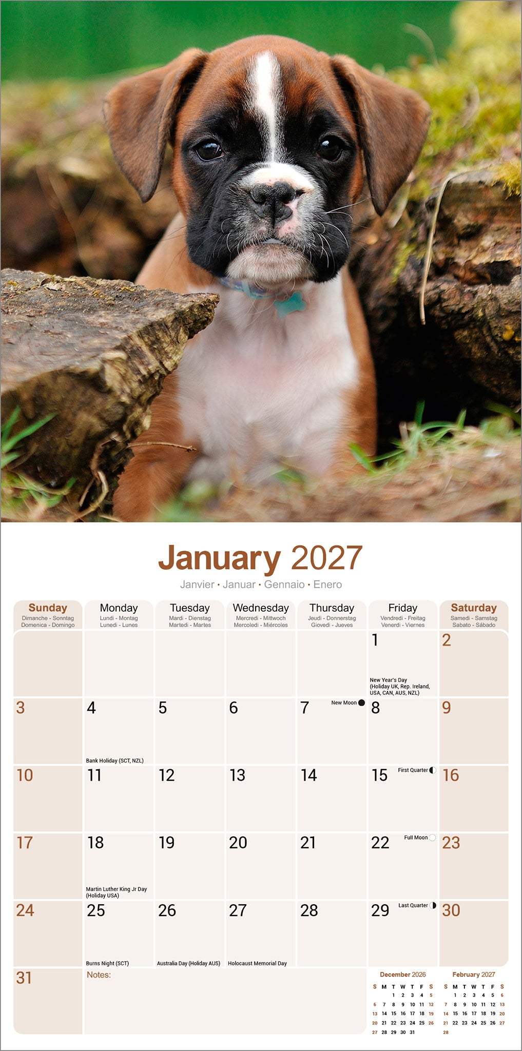 otter-house-boxer-wandkalender-2027-hundekalender image 3