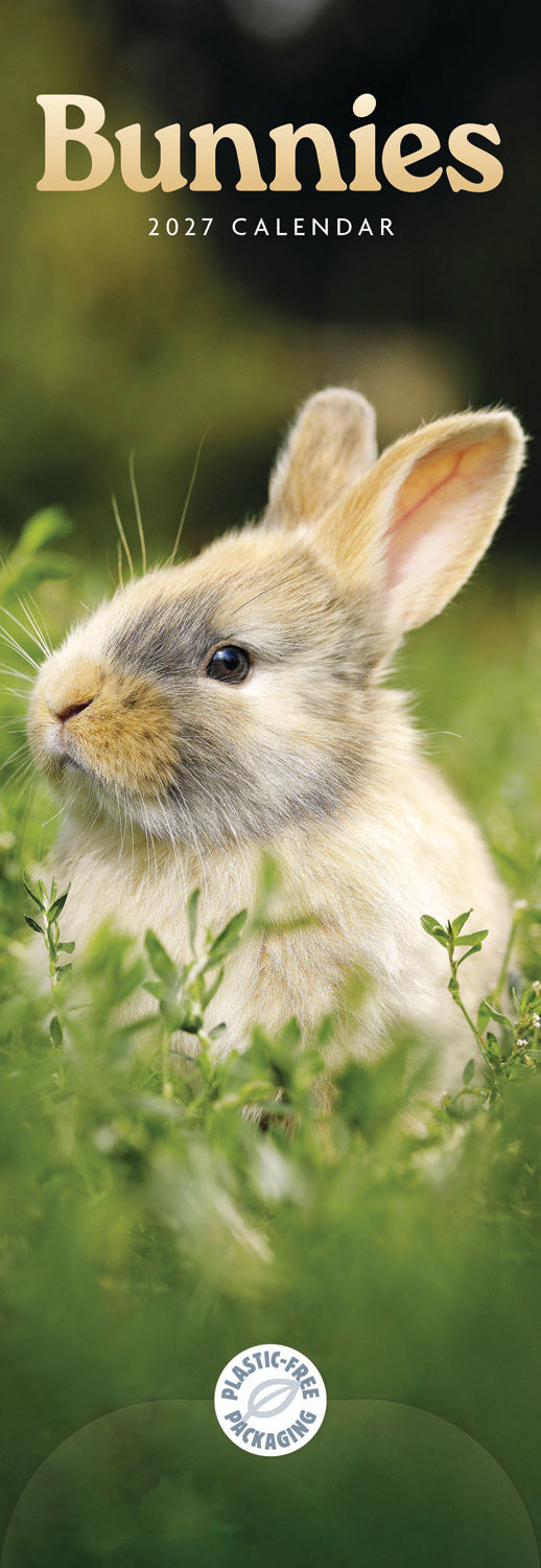 otter-house-bunnies-slim-kalender-2027-hasen image 1