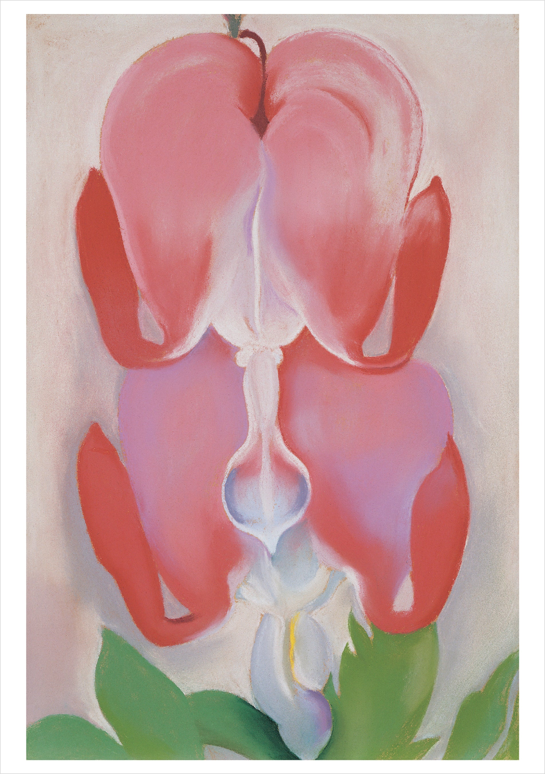 pomegranate-georgia-o-keeffe-blumen-klappkarten-box-20-karten image 4