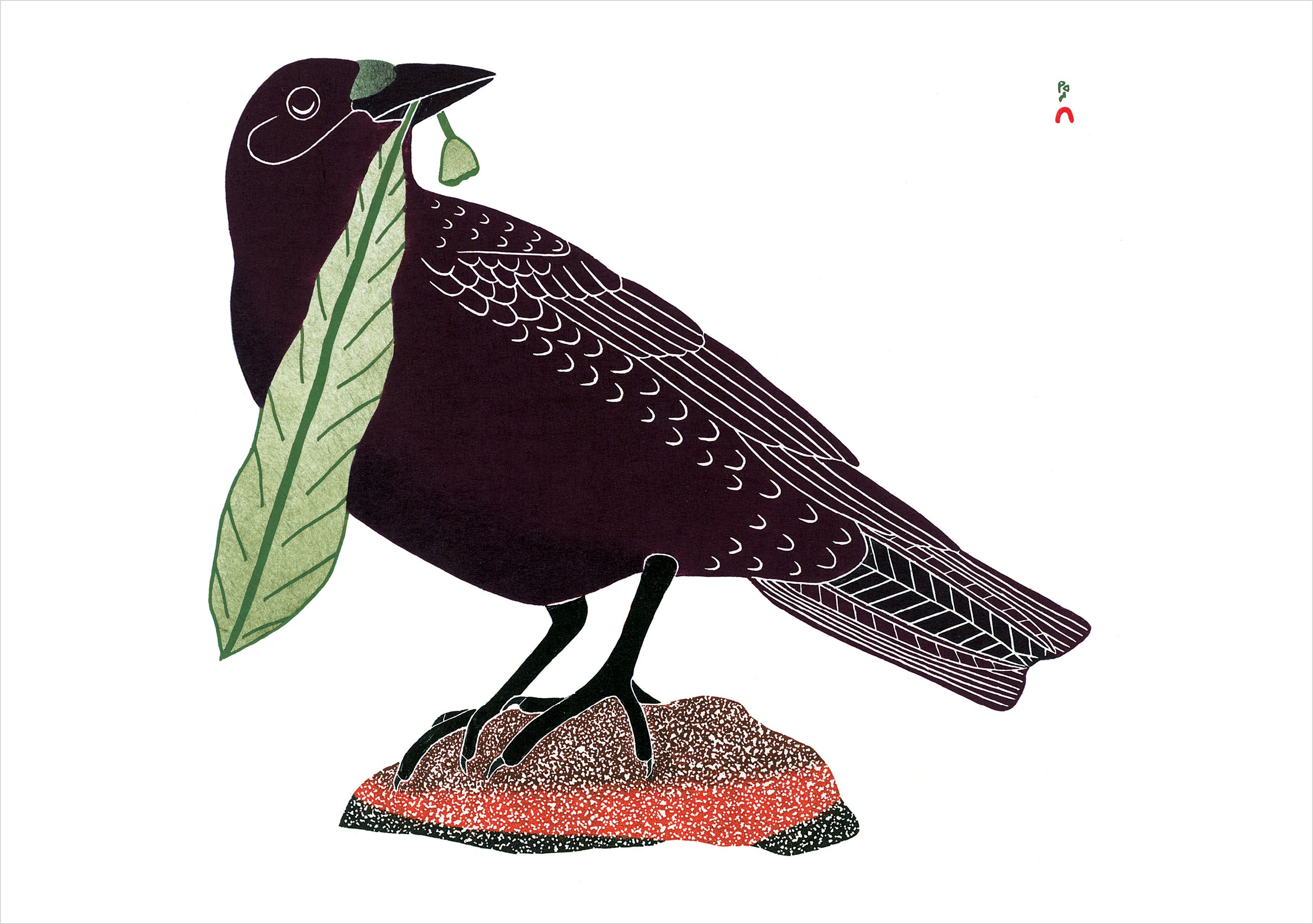 pomegranate-birds-of-cape-dorset-klappkarten-box-20-st-ck image 4