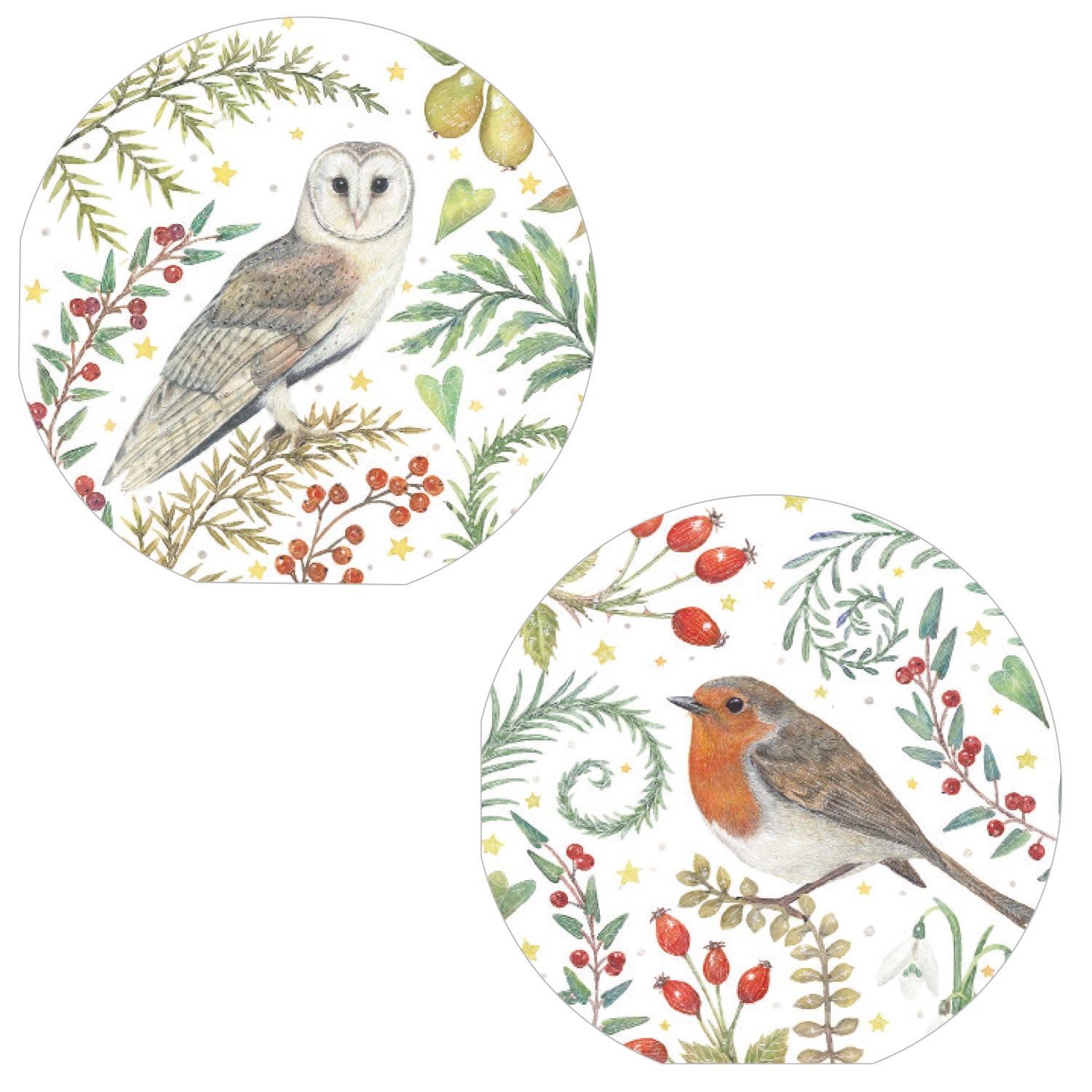 otter-house-christmas-winter-birds-weihnachtskarte-10er-pack-eule image 1