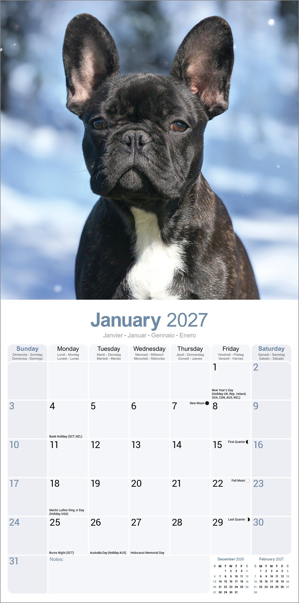 otter-house-french-bulldog-wandkalender-2027-hunde image 3
