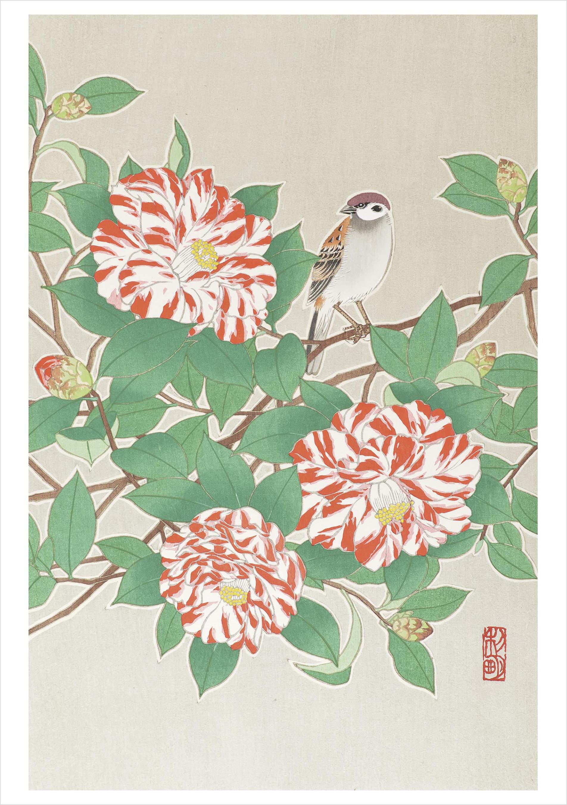pomegranate-blank-notecards-sparrow-camellia-klappkarte-einzeln image 1