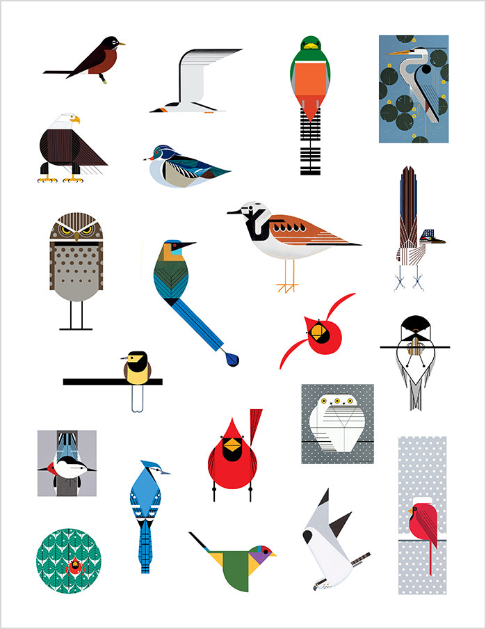 pomegranate-charley-harper-birds-stickerbuch-v-gel-50-motive image 4