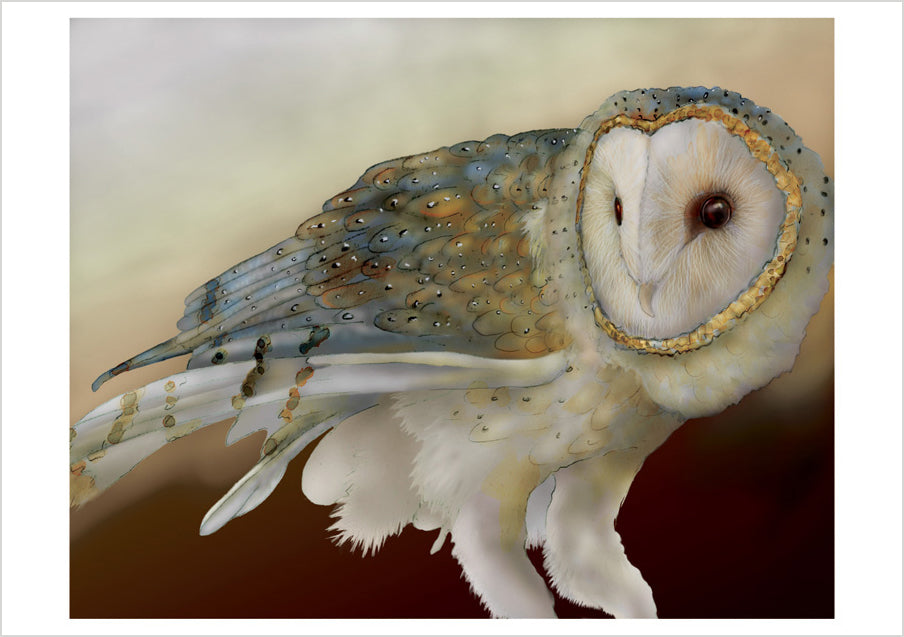 pomegranate-boxed-barn-owls-chappell-kartenbox-20-eulen image 5